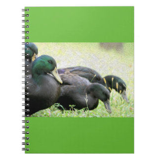Cuaderno del Bello Artes de los patos negros del