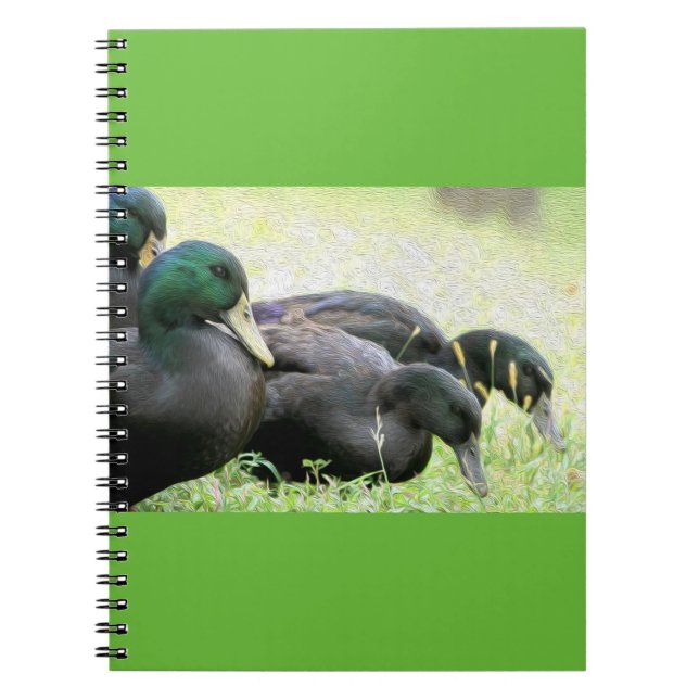 Cuaderno del Bello Artes de los patos negros del (Frente)