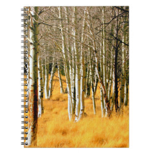 cuaderno del bosque del álamo temblón