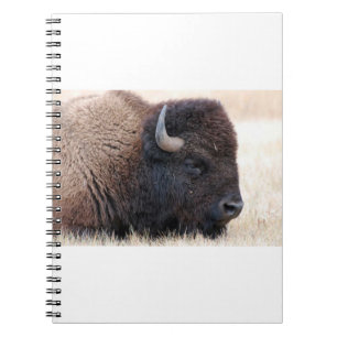 Cuaderno Del búfalo del bisonte cierre para arriba