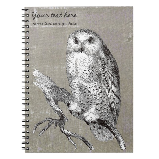 Cuaderno del búho Nevado del vintage (Frente)