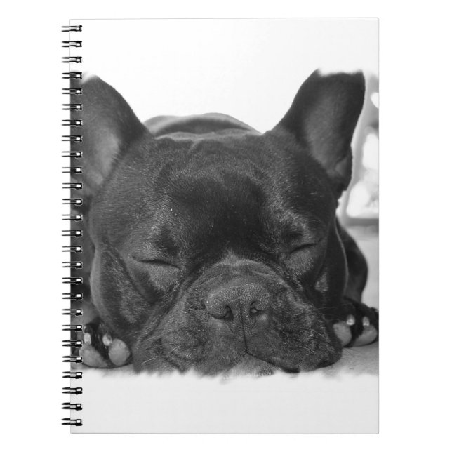 Cuaderno del bulldog francés (Frente)