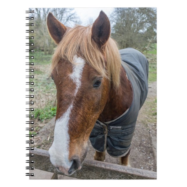 Cuaderno del caballo (Frente)