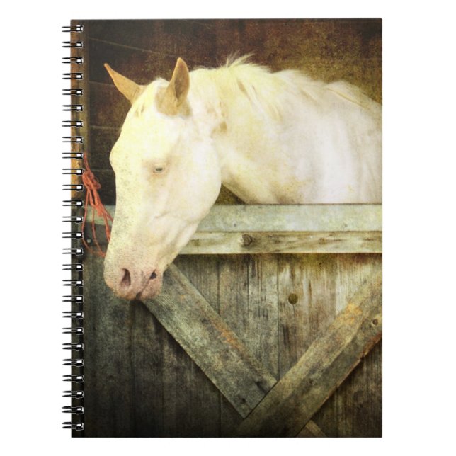 Cuaderno del caballo blanco (Frente)