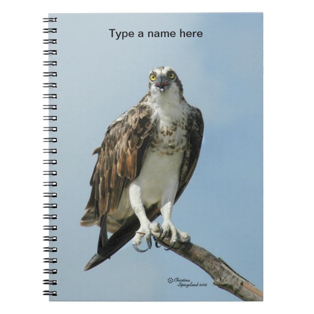 Cuaderno del canto del halcón de Osprey (Frente)