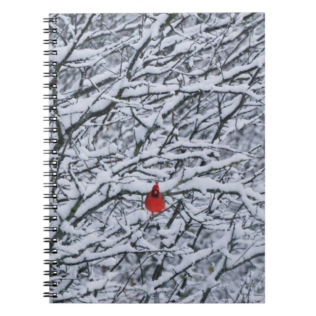 Cuaderno del Cardenal Rojo en Árbol Nevado (Frente)