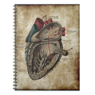 Cuaderno del diagrama del corazón del vintage