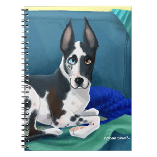Cuaderno del dormilón