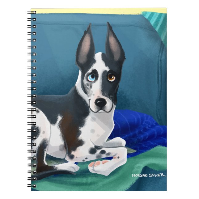 Cuaderno del dormilón (Frente)
