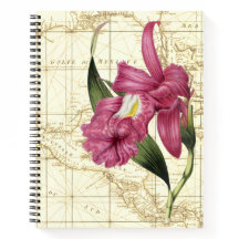 Cuaderno del Explorador Botánico de Orquídeas