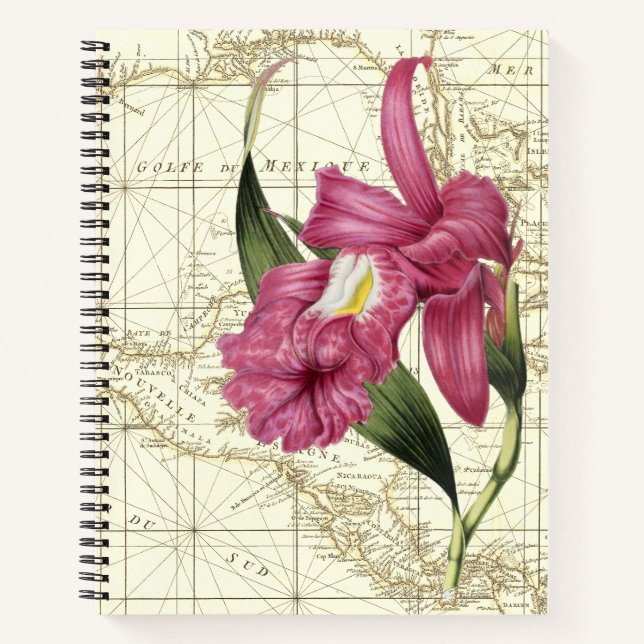Cuaderno del Explorador Botánico de Orquídeas (Anverso)