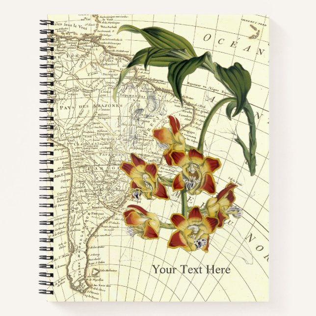 Cuaderno del Explorador de orquídeas doradas (Anverso)