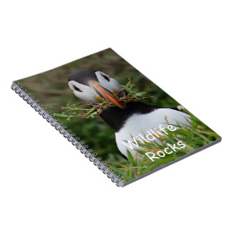 Cuaderno del frailecillo atlántico