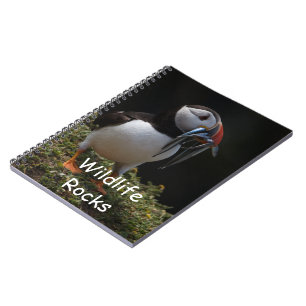 Cuaderno del frailecillo atlántico
