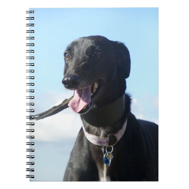 Cuaderno del galgo (P001) (Frente)
