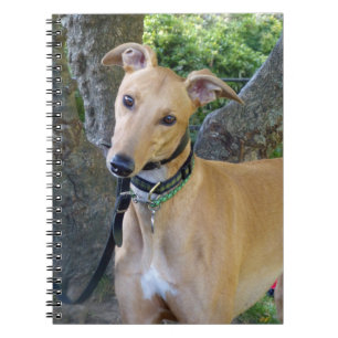 Cuaderno del galgo (P003)