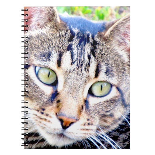 Cuaderno del gato (Frente)