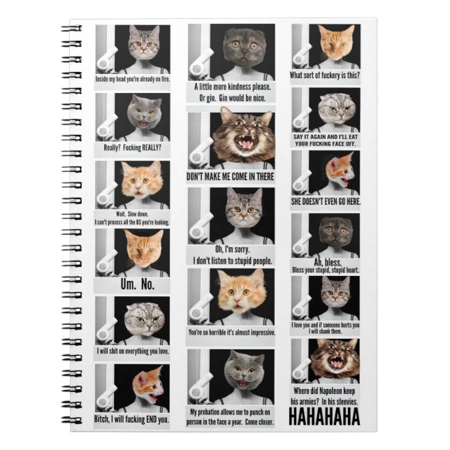 cuaderno del gato (Frente)