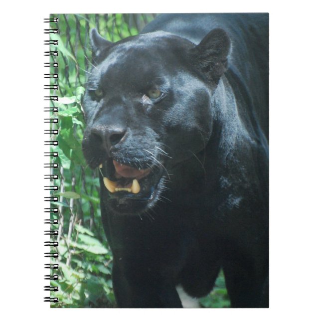 Cuaderno del gato de pantera negra (Frente)