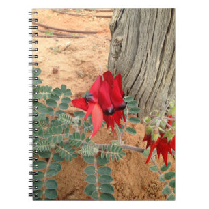 Cuaderno del guisante del desierto de Sturt del