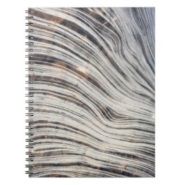Cuaderno del hielo de Loch Ness