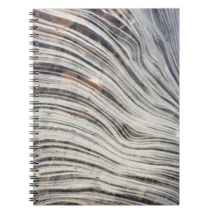 Cuaderno del hielo de Loch Ness