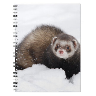Cuaderno del hurón Nevado