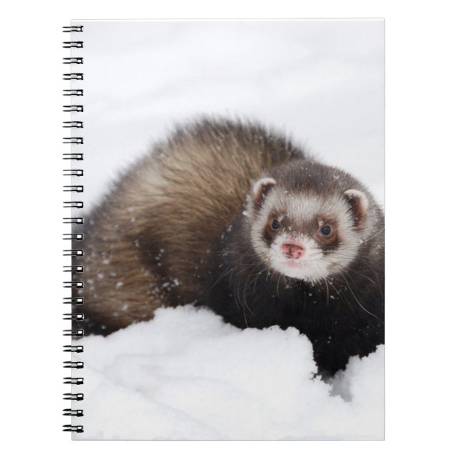 Cuaderno del hurón Nevado (Frente)