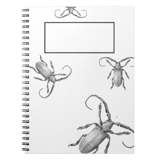 Cuaderno del ilustracion del escarabajo del (Frente)