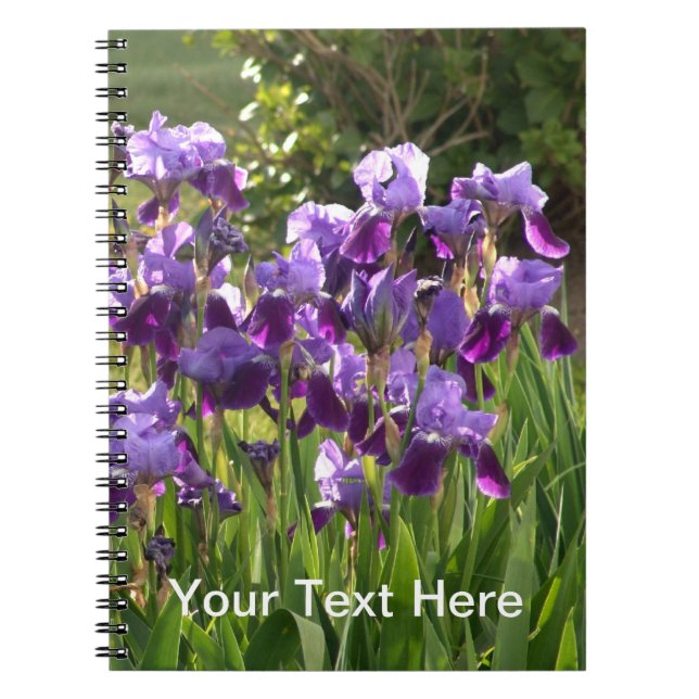 Cuaderno del iris (Frente)