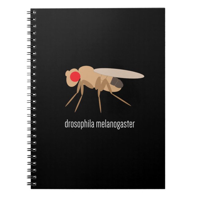 Cuaderno del laboratorio de la Drosophila (Frente)