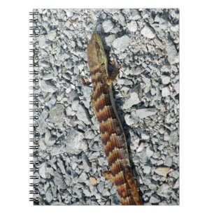 Cuaderno del lagarto de cocodrilo