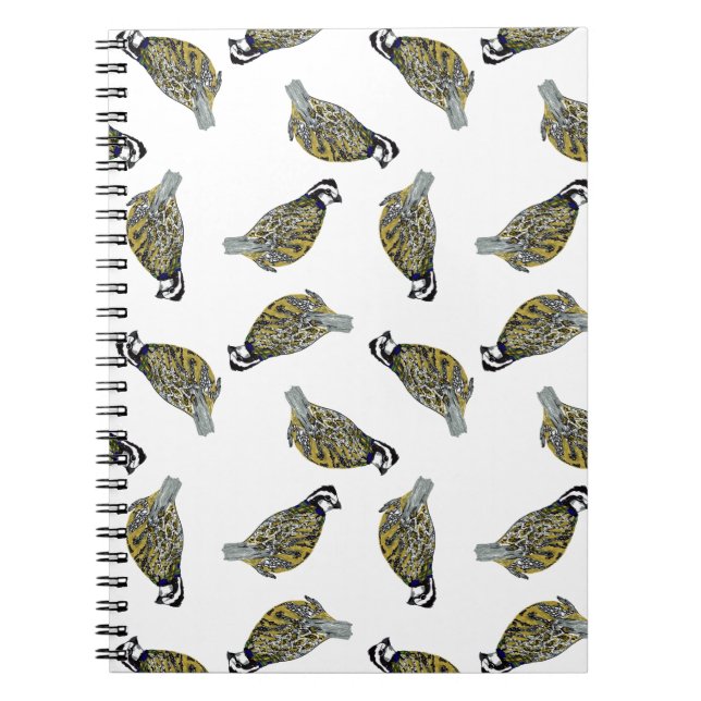 Cuaderno del lanzamiento de la codorniz (Frente)