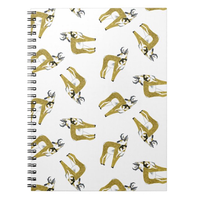 Cuaderno del lanzamiento del antílope (Frente)