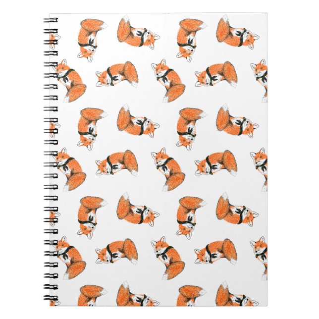 Cuaderno del lanzamiento del Fox (Frente)
