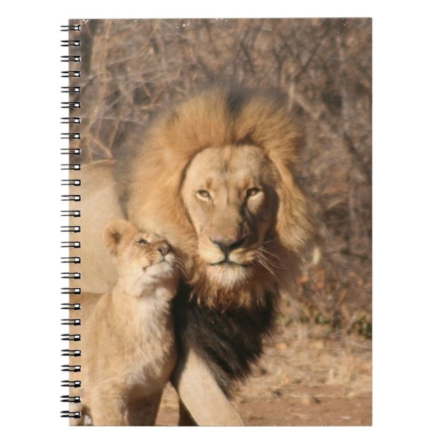 Cuaderno del león y de Cub de león (Frente)