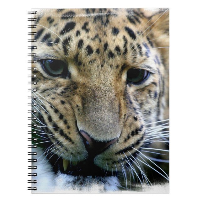 Cuaderno del leopardo de Amur (Frente)
