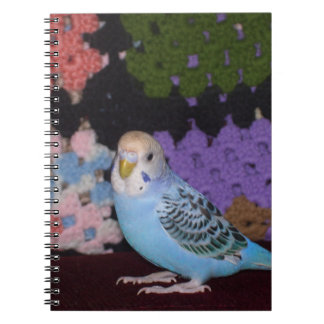 Cuaderno del Parakeet