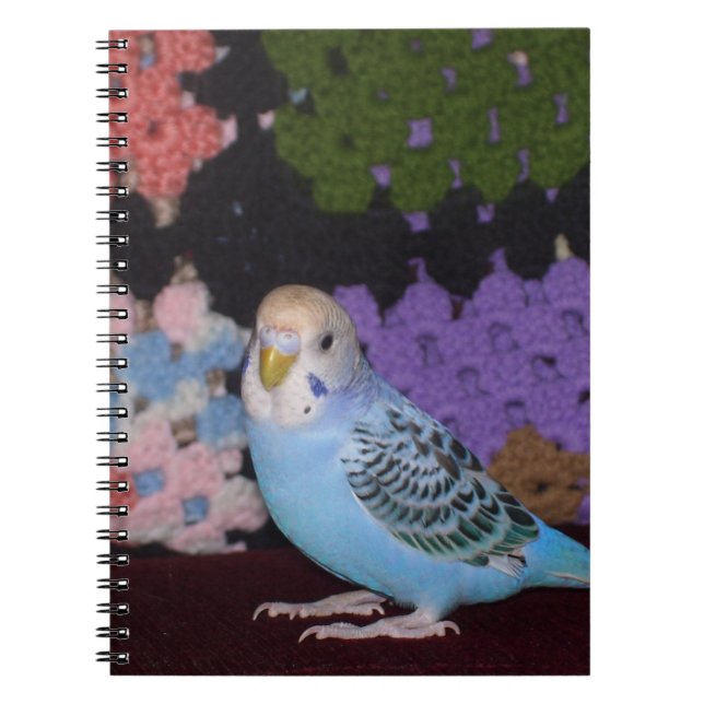 Cuaderno del Parakeet (Frente)
