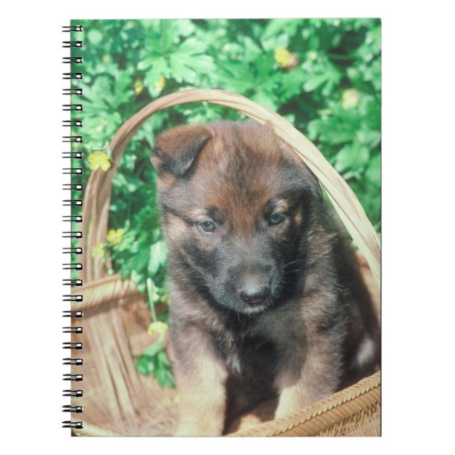Cuaderno del perrito de Malinois del belga (Frente)