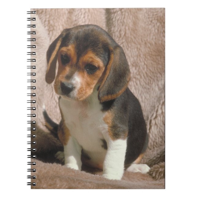 Cuaderno del perrito del beagle (Frente)