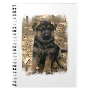 Cuaderno del perrito del pastor