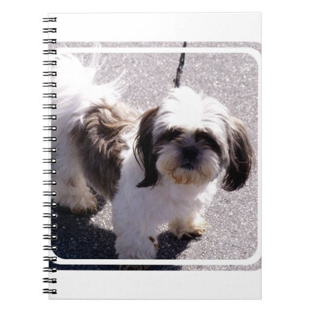 Cuaderno del perrito del Tsu de Shih (Frente)