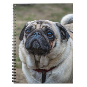 Cuaderno del perro del barro amasado