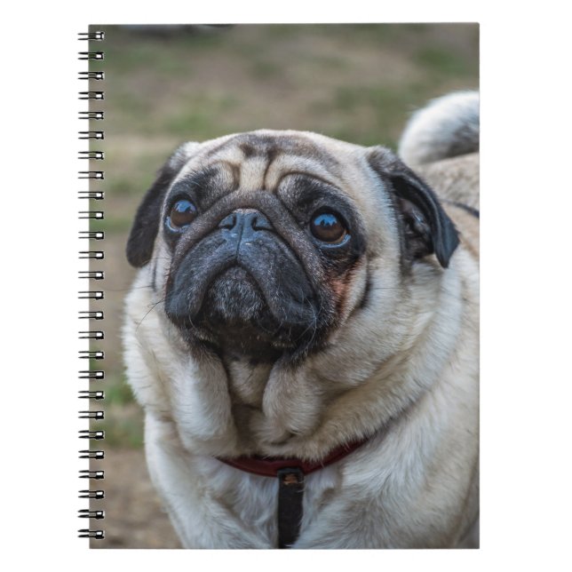 Cuaderno del perro del barro amasado (Frente)