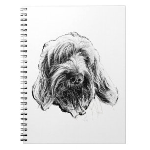 Cuaderno del perro Spinone Italiano