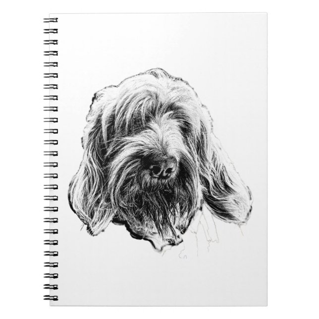 Cuaderno del perro Spinone Italiano (Frente)