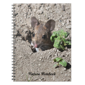 Cuaderno del ratón