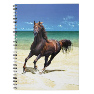 Cuaderno del semental de la playa