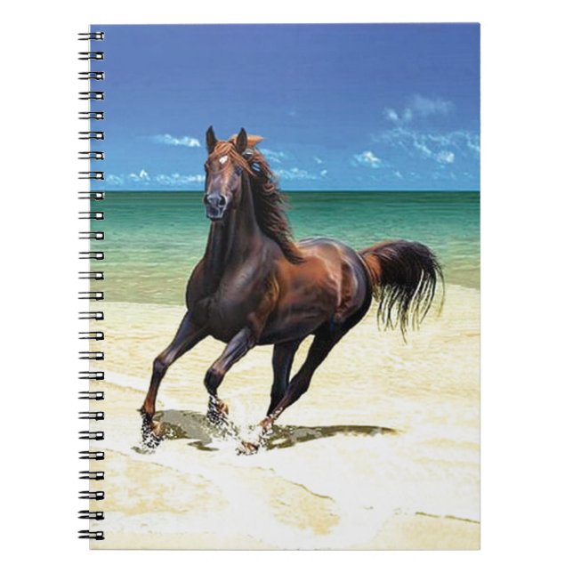 Cuaderno del semental de la playa (Frente)